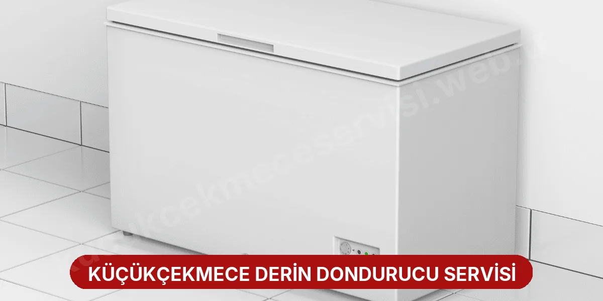 Küçükçekmece Derin Dondurucu Servisi