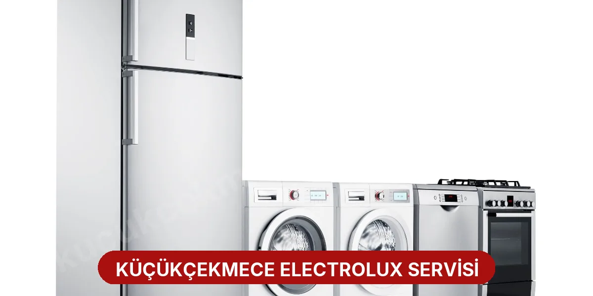 Küçükçekmece Electrolux Servisi