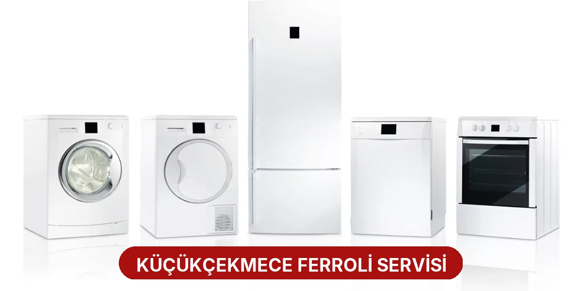 Küçükçekmece Ferroli Servisi