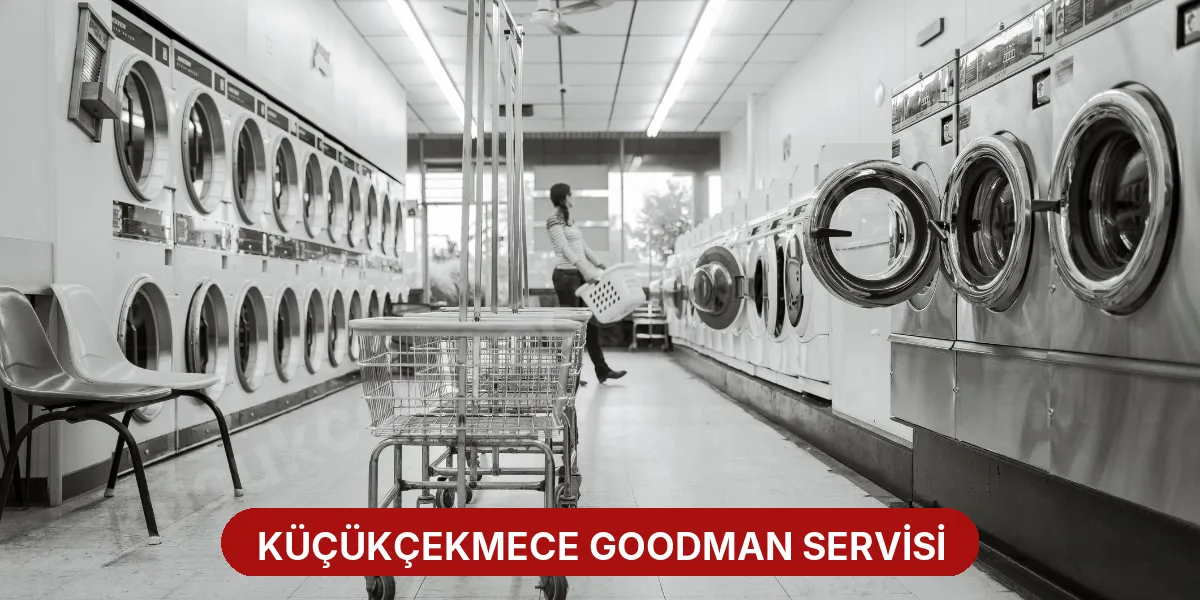 Küçükçekmece Goodman Servisi