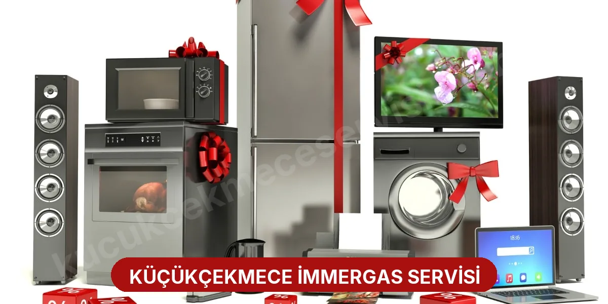 Küçükçekmece İmmergas Servisi
