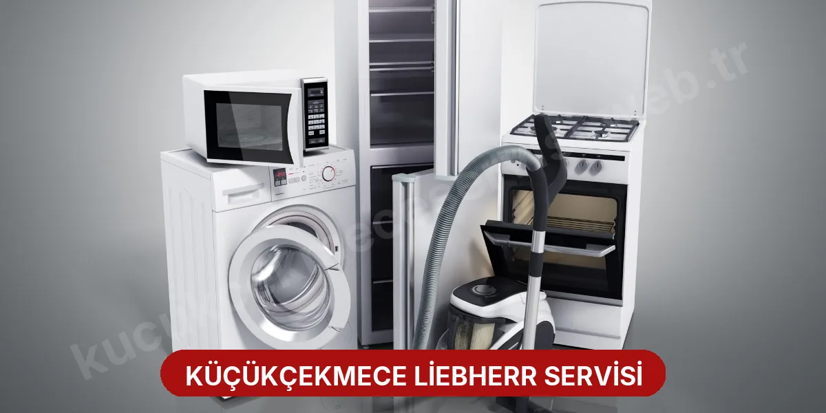 Küçükçekmece Liebherr Servisi
